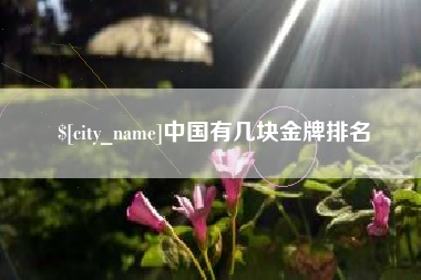 沅江中国有几块金牌排名