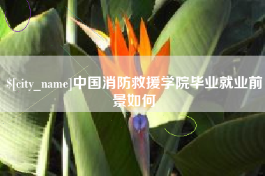 沅江中国消防救援学院毕业就业前景如何