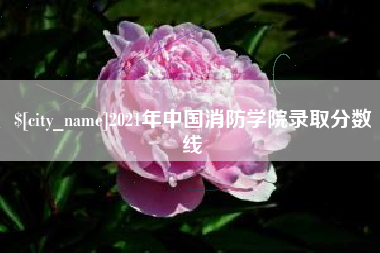 沅江2021年中国消防学院录取分数线