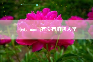 沅江有没有消防大学