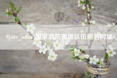 沅江国家消防救援队伍报名网址