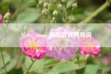 沅江消控证官网查询