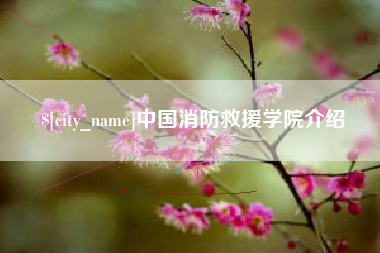 沅江中国消防救援学院介绍