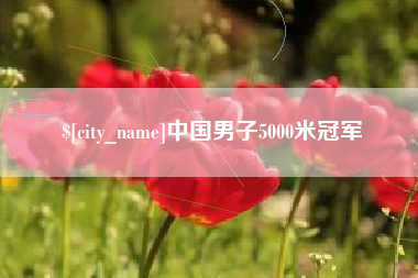 沅江中国男子5000米冠军