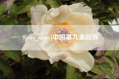 沅江中国第九金回放