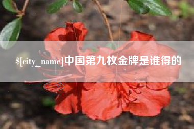 沅江中国第九枚金牌是谁得的