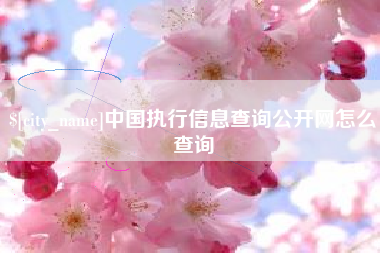 沅江中国执行信息查询公开网怎么查询