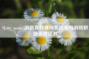 沅江消防官网查询系统查询消防职业资格证书