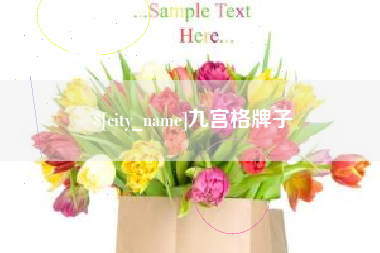 沅江九宫格牌子