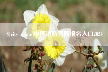 沅江中国消防官网报名入口2024