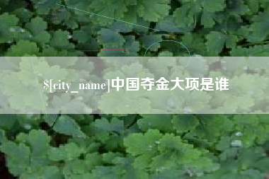 沅江中国夺金大项是谁