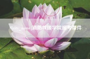 沅江消防救援学院报考条件