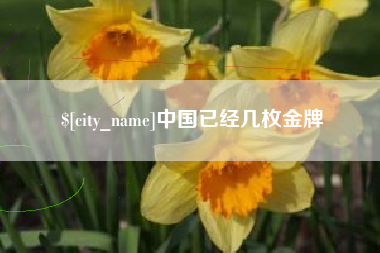 沅江中国已经几枚金牌