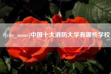 沅江中国十大消防大学有哪些学校