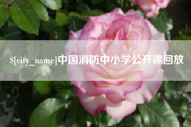 沅江中国消防中小学公开课回放