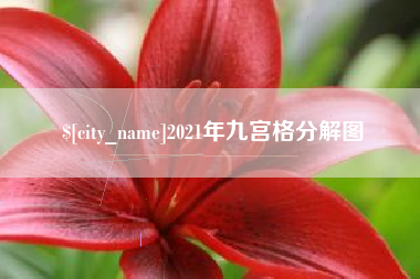 沅江2021年九宫格分解图