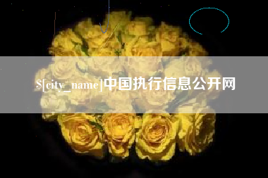 沅江中国执行信息公开网