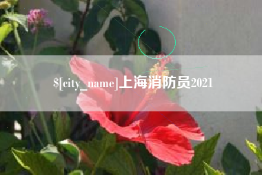 沅江上海消防员2021