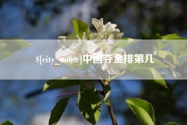 沅江中国夺金排第几