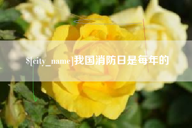 沅江我国消防日是每年的