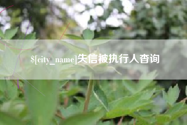 沅江失信被执行人杳询