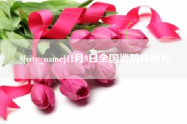 沅江11月9日全国消防日图片