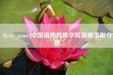沅江中国消防救援学院新疆录取分数