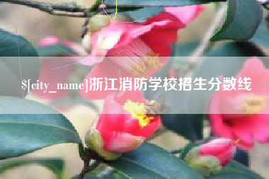 沅江浙江消防学校招生分数线