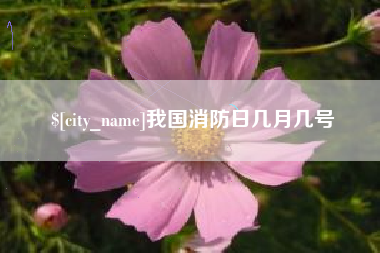 沅江我国消防日几月几号