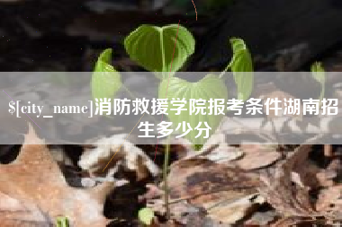 沅江消防救援学院报考条件湖南招生多少分