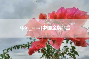 沅江中国金牌18金