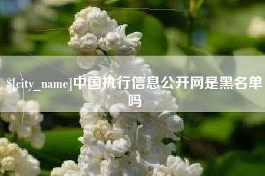 沅江中国执行信息公开网是黑名单吗