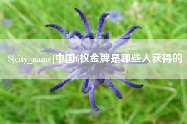 沅江中国6枚金牌是哪些人获得的