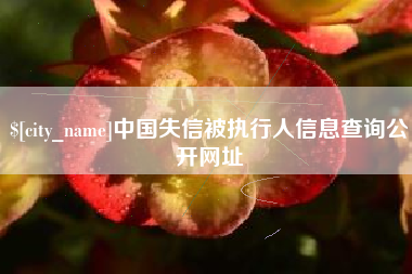 沅江中国失信被执行人信息查询公开网址