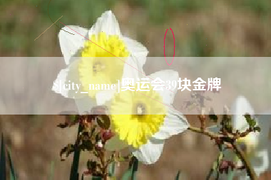 沅江奥运会39块金牌