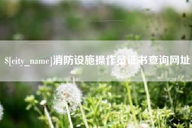 沅江消防设施操作员证书查询网址