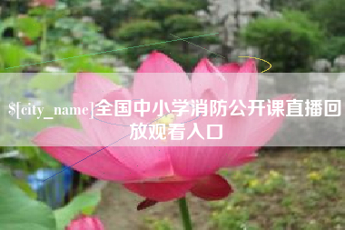 沅江全国中小学消防公开课直播回放观看入口