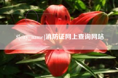 沅江消防证网上查询网站