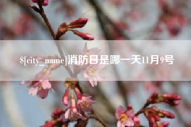沅江消防日是哪一天11月9号