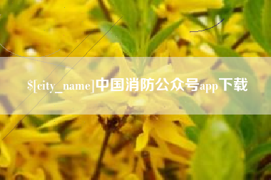 沅江中国消防公众号app下载