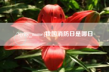 沅江我国消防日是哪日