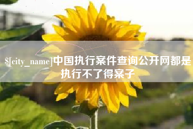 沅江中国执行案件查询公开网都是执行不了得案子
