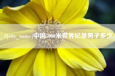 沅江中国5000米世界纪录男子多少