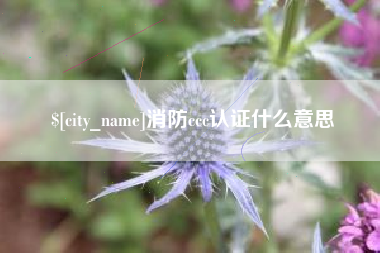 沅江消防ccc认证什么意思
