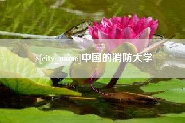 沅江中国的消防大学
