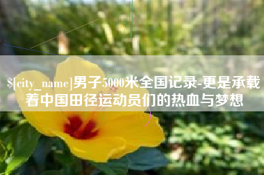 沅江男子5000米全国记录-更是承载着中国田径运动员们的热血与梦想