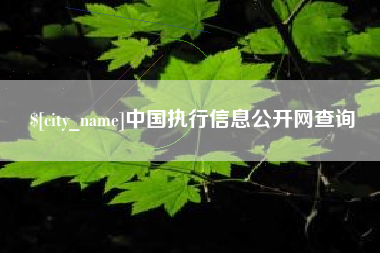 沅江中国执行信息公开网查询