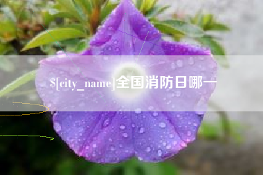 沅江全国消防日哪一