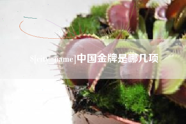 沅江中国金牌是哪几项