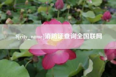沅江消防证查询全国联网